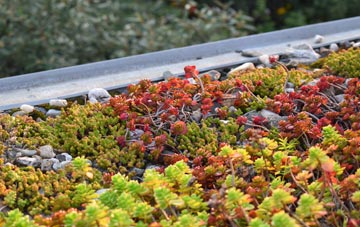 the cost of Boustead Hill green roof installation