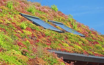 Boustead Hill living roof systems