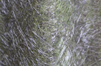 Boustead Hill fibreglass roof work